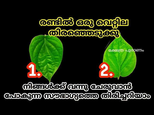 നിങ്ങളുടെ മനസ്സിലുള്ള ഏത് ആഗ്രഹങ്ങളും നടക്കുമോ ഇല്ലയോ എന്നറിയാൻ സാധിക്കുന്ന തൊടുകുറി ശാസ്ത്രം…