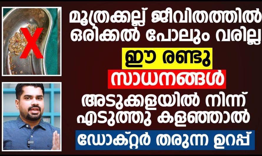 കിഡ്നി സ്റ്റോൺ സാധ്യതകൾ ഉണ്ടെങ്കിൽ ശരീരം കാണിച്ചു തരുന്ന പ്രധാനപ്പെട്ട ലക്ഷണങ്ങളെ കുറിച്ച് മനസ്സിലാക്കാം…