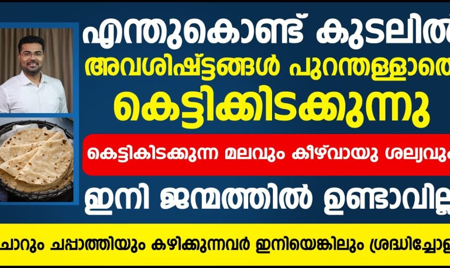 ഈ പറയുന്ന കാര്യങ്ങൾ ശ്രദ്ധിക്കുകയാണെങ്കിൽ വയർ സംബന്ധമായി ഉള്ള ബുദ്ധിമുട്ടുകൾ എല്ലാം ഈസിയായി പരിഹരിക്കാം …