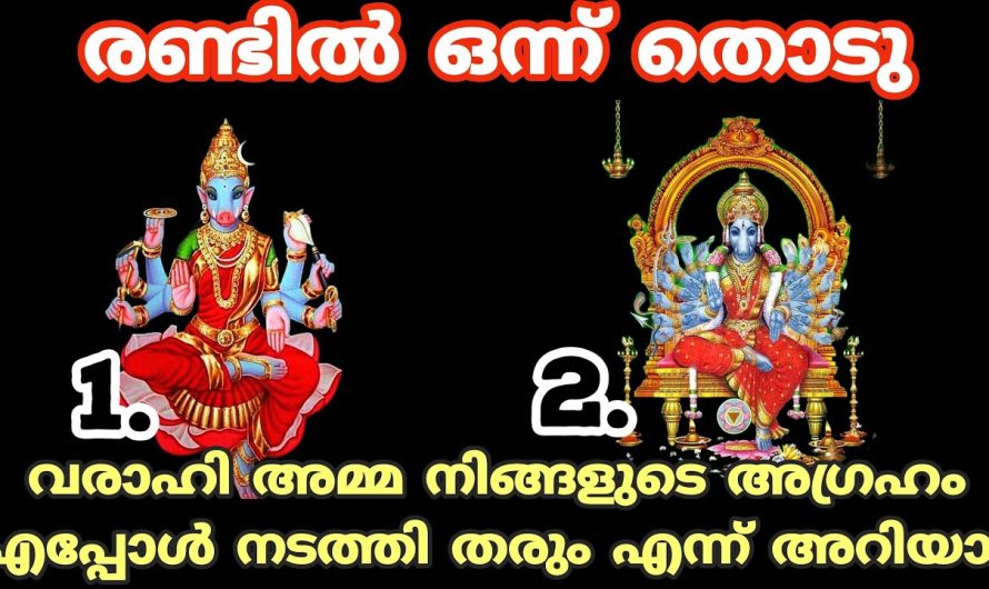 വരാഹിദേവിയെ ഇതുപോലെ പ്രാർത്ഥിച്ചാൽ നിങ്ങളുടെ മനസ്സിലുള്ള ഏത് ആഗ്രഹങ്ങളും തടസ്സങ്ങൾ ഇല്ലാതെ നടന്നു കിട്ടും…