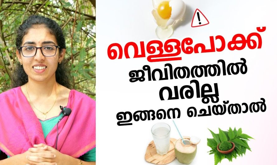 സ്ത്രീകളിൽ ഉണ്ടാകുന്ന വെള്ളപോക്ക് അഥവാ അസ്ഥിയുരുക്കം ഈ കാര്യങ്ങൾ ശ്രദ്ധിച്ചാൽ അത് ഈസിയായി പരിഹരിക്കാം…