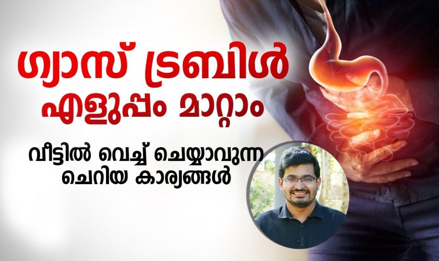 എത്ര വലിയ ഗ്യാസ്ട്രബിൾ പ്രോബ്ലംസ് ഉണ്ടായാലും നമുക്കത് വീട്ടിലിരുന്നു കൊണ്ട് ഈസിയായി പരിഹരിക്കാം…