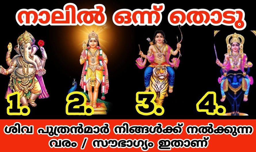 ശിവപുത്രന്മാരുടെ ചിത്രങ്ങളിൽ ഒരെണ്ണം തിരഞ്ഞെടുത്താൽ നിങ്ങളുടെ ജീവിതത്തിൽ വന്നുചേരാൻ പോകുന്ന മാറ്റങ്ങളെക്കുറിച്ച് മുൻകൂട്ടി മനസ്സിലാക്കാം…