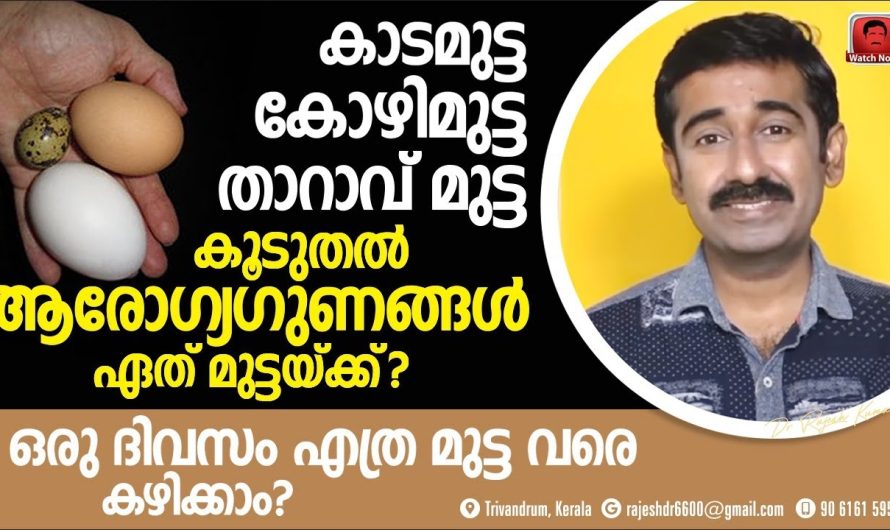 മറ്റു മുട്ടകളെക്കാൾ കാടമുട്ട കഴിക്കുന്നത് ശരീരത്തിന് ഏറെ ഗുണം ചെയ്യും എന്ന് പറയുന്നതിന്റെ സത്യാവസ്ഥ പരിശോധിക്കാം…