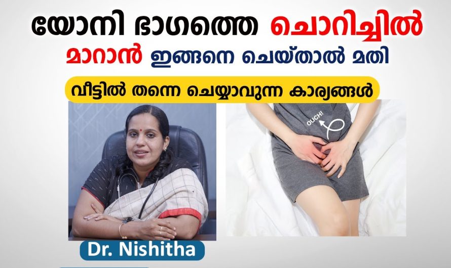 പലരും പുറത്തു പറയാൻ മടിക്കുന്ന പ്രൈവറ്റ് പാർട്ടുകളിലെ ചൊറിച്ചിൽ പോലെയുള്ള ബുദ്ധിമുട്ടുകൾ വരുന്നതിനു പിന്നിലെ കാരണങ്ങളെ കുറിച്ച് മനസ്സിലാക്കാം…