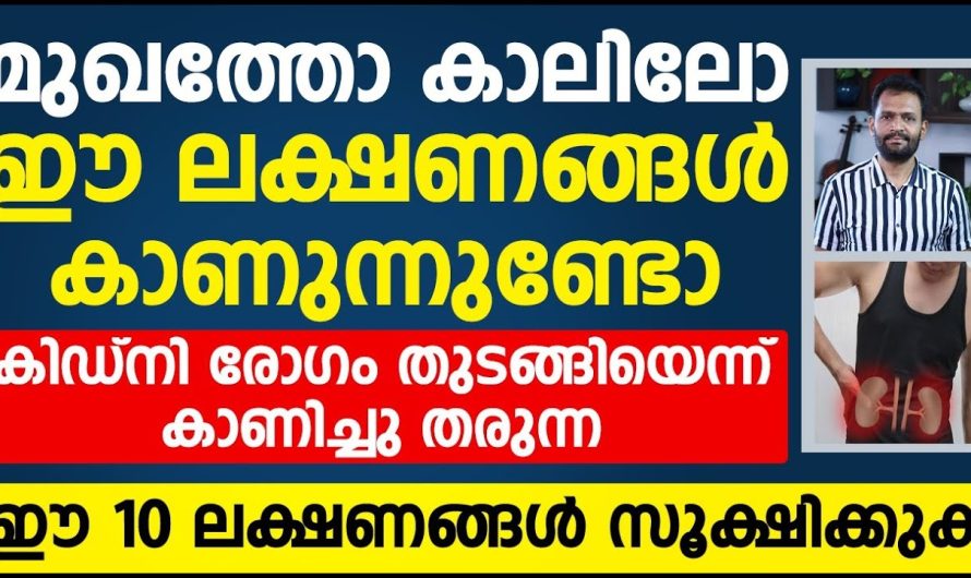 വൃക്കകൾ തകരാറിലാകുന്നതിനു മുൻപ് ശരീരം കാണിച്ചു തരുന്ന 10 ലക്ഷണങ്ങളെ കുറിച്ച് മനസ്സിലാക്കാം…