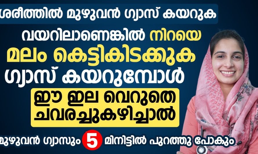 എന്തെങ്കിലും ഫംഗ്ഷനുകൾക്ക് അതല്ലെങ്കിൽ എക്സാമിനൊക്കെ പോകുമ്പോൾ ടോയ്‌ലറ്റിൽ പോകണം എന്ന് തോന്നാറുണ്ടോ?? എങ്കിൽ ഈ ഇൻഫർമേഷൻ അറിയാതെ പോകരുത്…