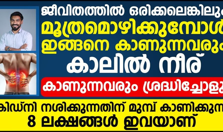 നമ്മുടെ കിഡ്നി തകരാറിലാണ് എന്ന് ശരീരം കാണിച്ചു തരുന്ന പ്രധാനപ്പെട്ട ലക്ഷണങ്ങളെക്കുറിച്ച് മനസ്സിലാക്കാം…