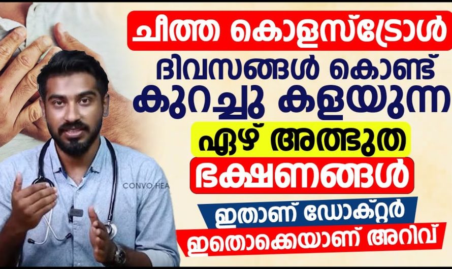 ശരീരത്തിൽ കൊളസ്ട്രോൾ ലെവൽ കൂടുന്നത് സിമ്പിൾ ആയിട്ട് നിയന്ത്രിക്കാനുള്ള മാർഗങ്ങളെക്കുറിച്ച് മനസ്സിലാക്കാം…