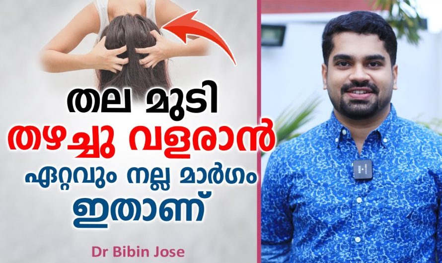 മുടികൊഴിച്ചിൽ മാറി മുടി നല്ല ഉള്ളോടുകൂടി തഴച്ചു വളരാൻ സഹായിക്കുന്ന മാർഗ്ഗങ്ങളെ കുറിച്ച് പരിചയപ്പെടാം…