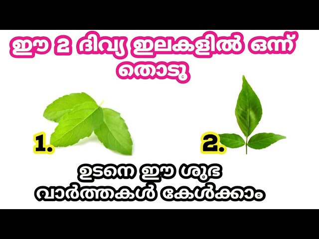 നിങ്ങളുടെ ജീവിത രഹസ്യങ്ങളെ കുറിച്ച് തൊടുകുറി ശാസ്ത്രം വഴി മുൻപേ അറിയാം…