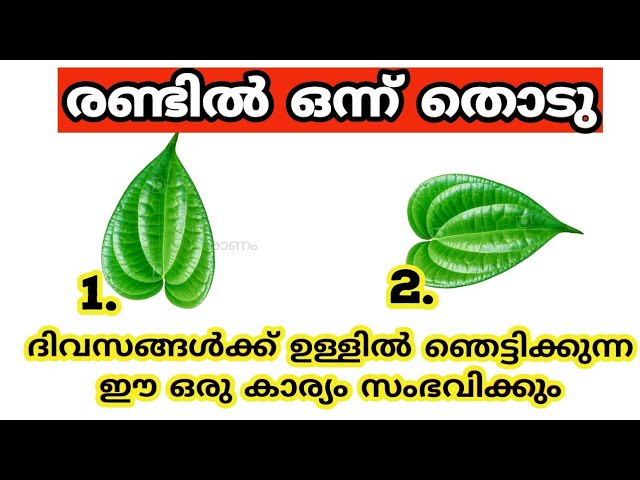 വളരെ കാലമായി നിങ്ങൾ മനസ്സിൽ കൊണ്ടുനടക്കുന്ന ആഗ്രഹങ്ങൾ നടക്കുമോ ഇല്ലയോ എന്ന് തൊടുകുറി ശാസ്ത്രം വഴി മനസ്സിലാക്കാം…