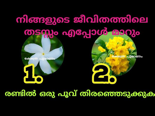 ജീവിതത്തിൽ എന്ത് കാര്യങ്ങൾ ചെയ്യുമ്പോഴും തടസ്സങ്ങൾ അനുഭവപ്പെടുന്നുണ്ടെങ്കിൽ അതിനു പിന്നിലുള്ള കാരണത്തെക്കുറിച്ച് തൊടുകുറി ശാസ്ത്രം വഴി അറിയാം…