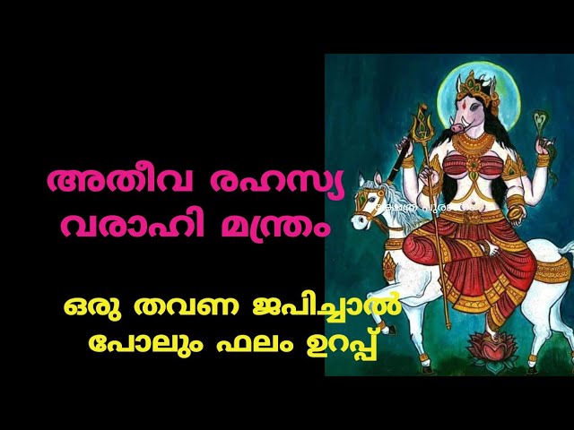 വരാഹീ ദേവിയുടെ മന്ത്രം ഈ പറയുന്ന സമയങ്ങളിൽ ജപിച്ചാൽ ജീവിതത്തിൽ ഉള്ള കഷ്ടപ്പാടുകൾ എല്ലാം അകന്നു പോകും…