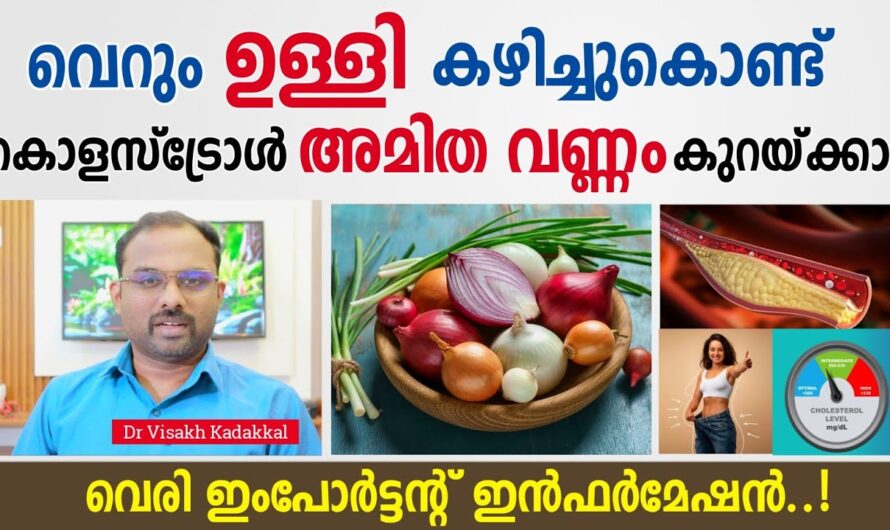 6 main factors that cause cholesterol to increase