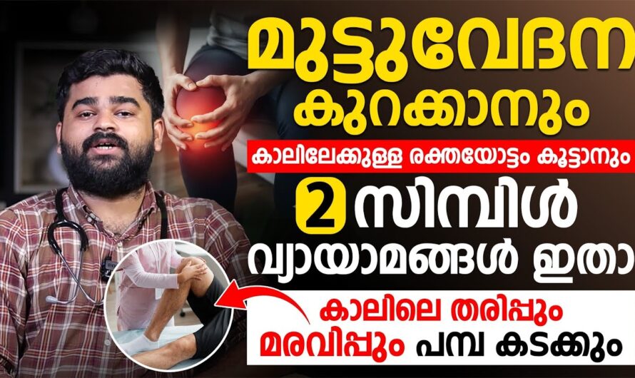 Knee pain will go away; 5 exercises to increase leg strength and blood flow!