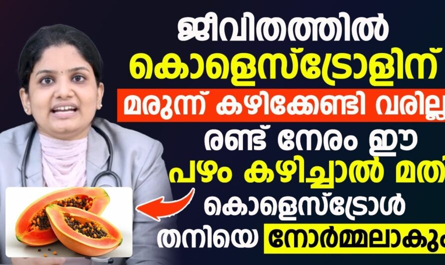 6 main factors that cause cholesterol to increase