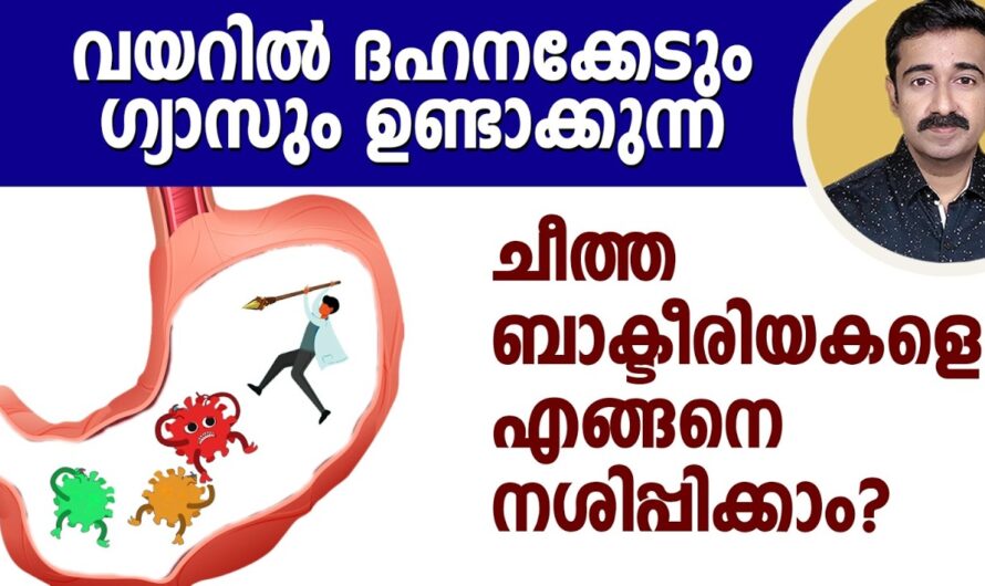 Get Rid of Bad Bacteria in the Stomach; 5 Ways to Improve Digestion!