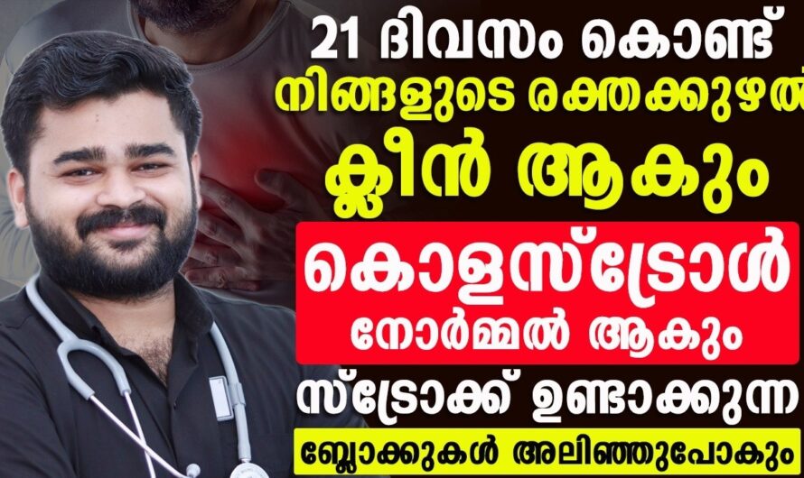 Cleansing Blood Vessels: 6 Foods to Eat for Heart Health