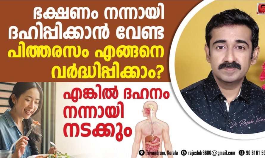 Increase Bile to Improve Digestion; Here are 10 Home Remedies!