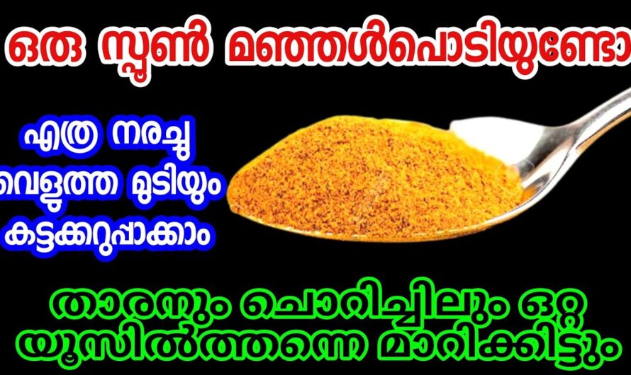 Why does hair turn gray? 6 reasons you should know!