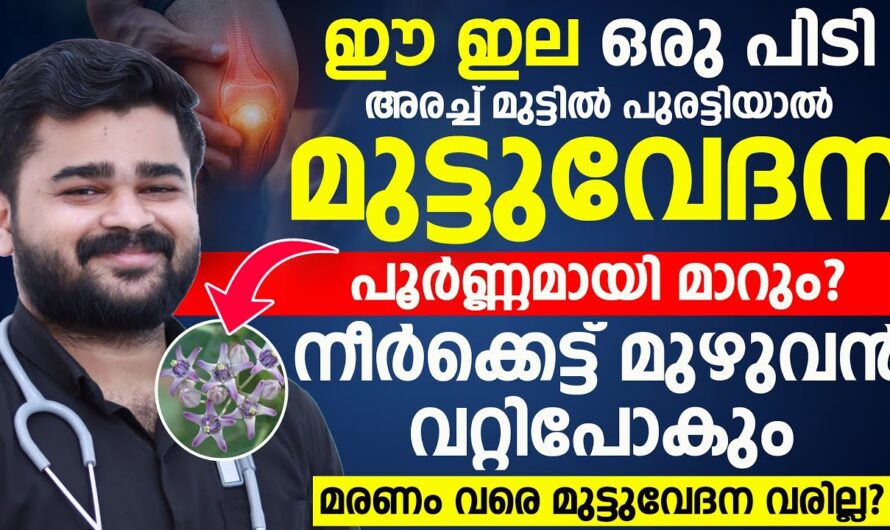 Are you suffering from knee pain? 6 main reasons you should know!