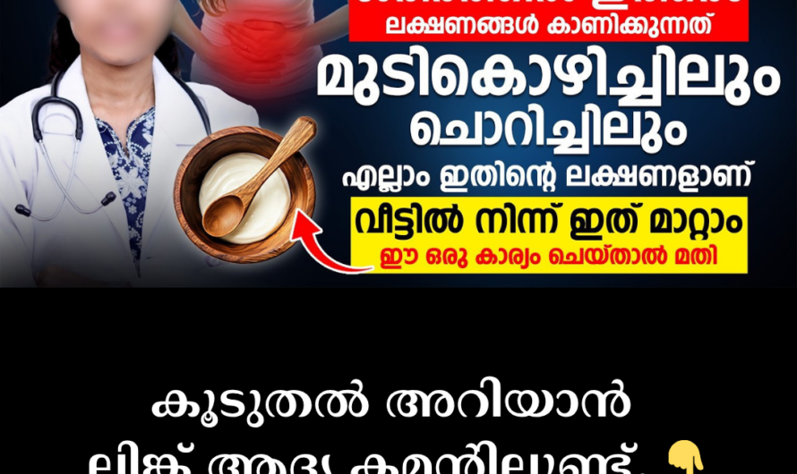 In the same vein as you requested, the article on the main causes of stomach ulcers (Stomach Ulcer/Peptic Ulcer) is given below:
