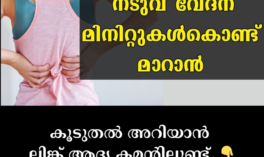 Are you suffering from back pain? 5 main causes