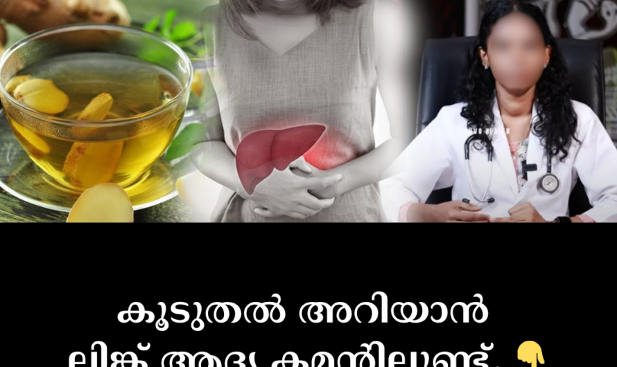 As you requested, the article on the main causes of fatty liver is given below. It is prepared to be shared on social media: