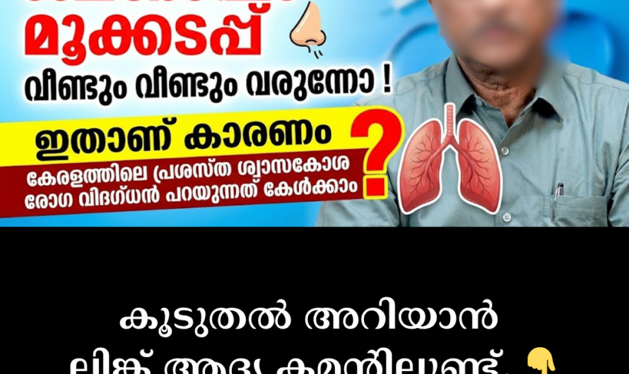 In the same format you requested, the article on the main causes of allergic rhinitis and nasal congestion is given below: