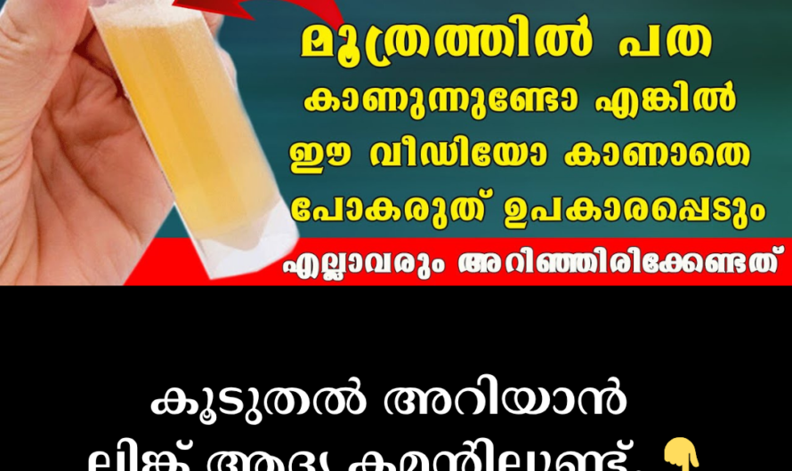 Do you see blood in your urine? Don’t ignore these 5 main reasons!