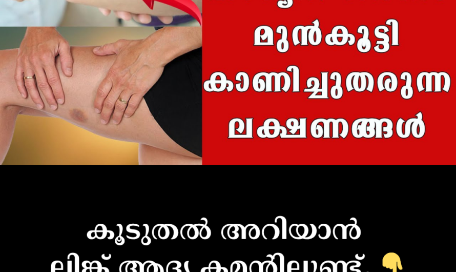 Blood Cancer: Facts to Know! 5 Major Risk Factors