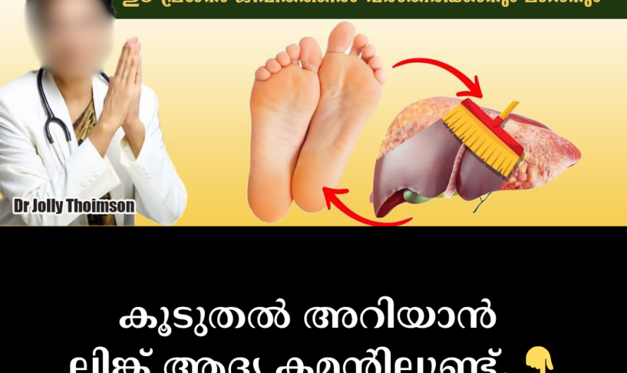 Is your liver full of fat? Identify the 5 main reasons that lead to fatty liver