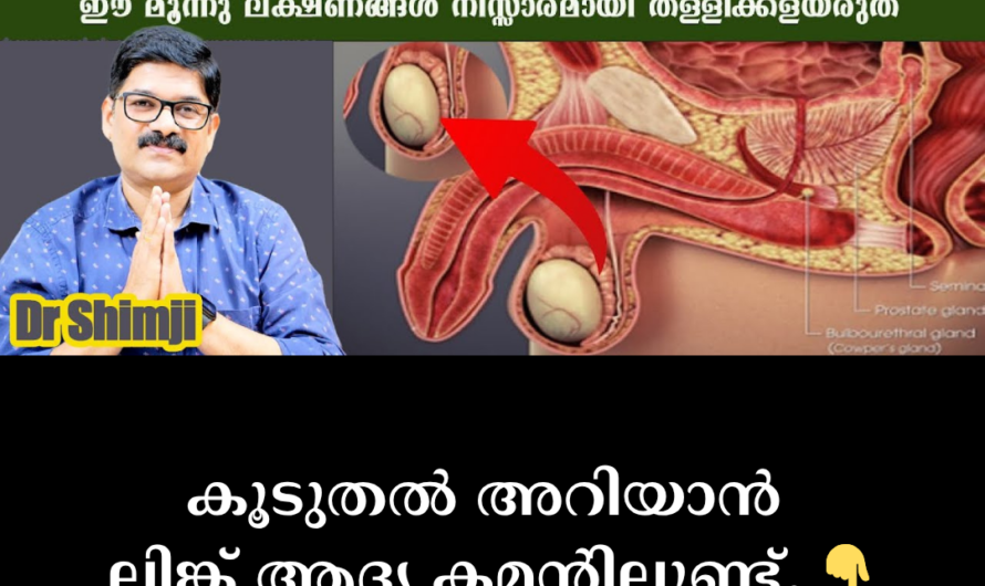 In the same format you requested, the article on the main causes of prostate enlargement (BPH) is given below: