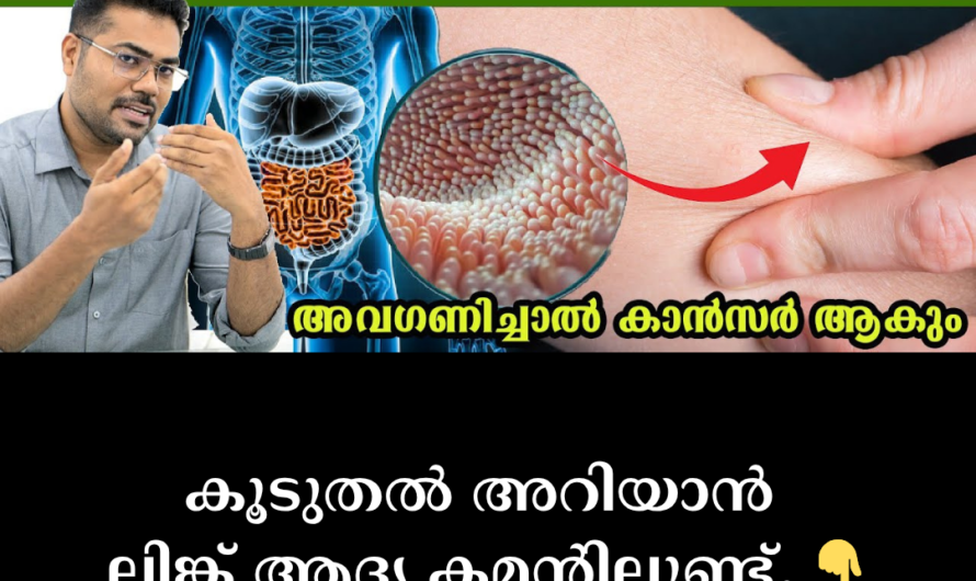 Do you always have an upset stomach? Identify the 5 main reasons that lead to intestinal diseases