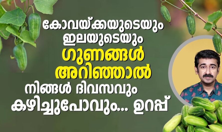 Not only for diabetes; the amazing benefits of fenugreek and its leaves!