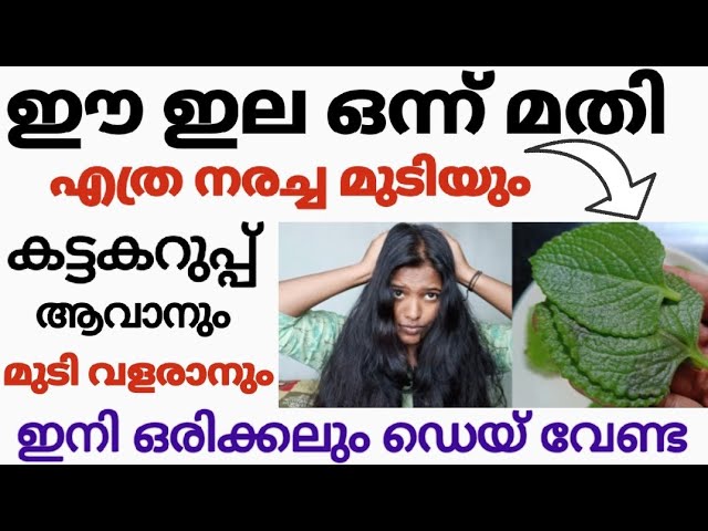 Grey hair is no longer a challenge; 5 amazing ways to naturally darken your hair!