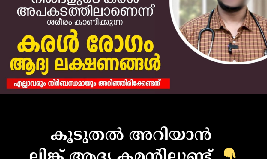 Is the body’s purification plant in danger? 5 things that cause liver diseases