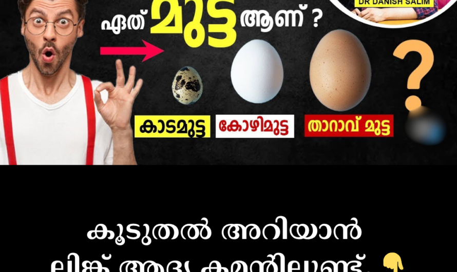 Are quail eggs better than chicken eggs or duck eggs? 5 facts to know