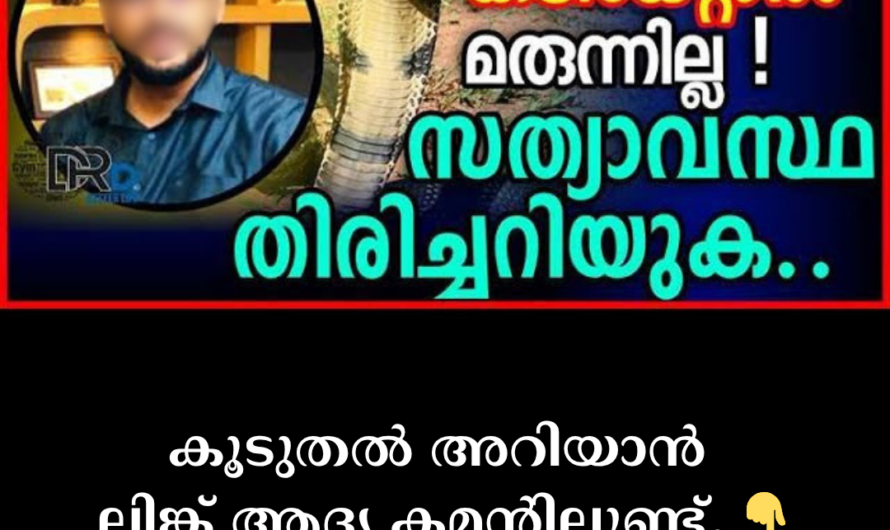 5 reasons why a king cobra bite is dangerous