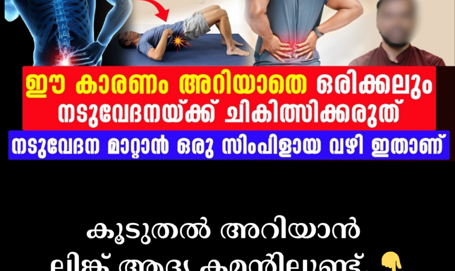 Do you have severe back pain when bending over or standing for long periods of time? Here are the main causes