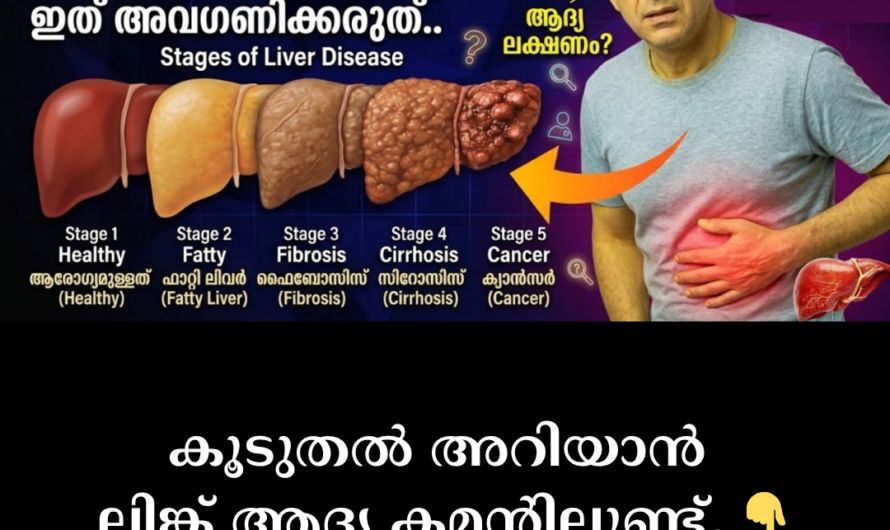 Damage to the king of organs! 5 main scientific reasons behind liver diseases