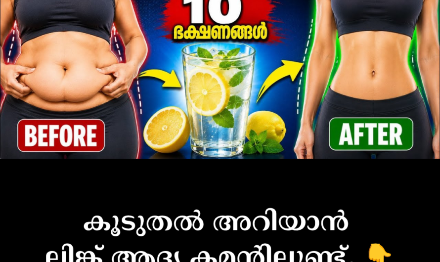 No matter what you do, your stomach and fat won’t go down? 5 main scientific reasons behind obesity
