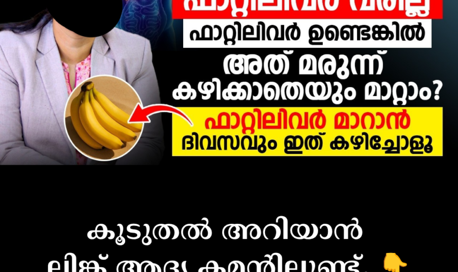 The villain that destroys the liver without symptoms! 5 main scientific reasons behind fatty liver